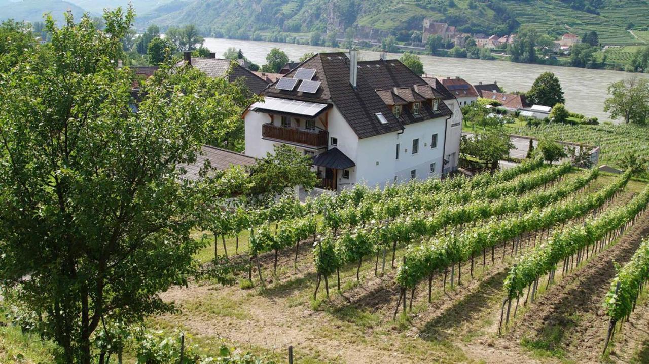 Weingut & Gaestezimmer Pammer Mitterarnsdorf エクステリア 写真