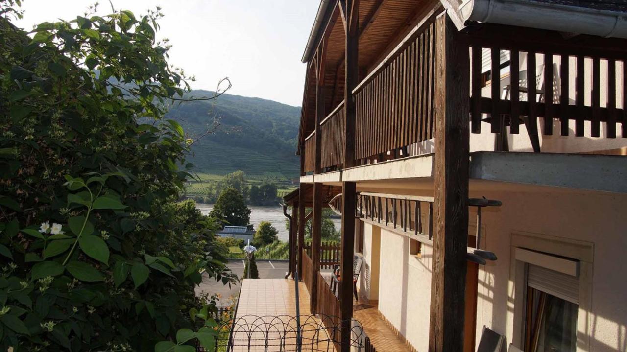 Weingut & Gaestezimmer Pammer Mitterarnsdorf エクステリア 写真