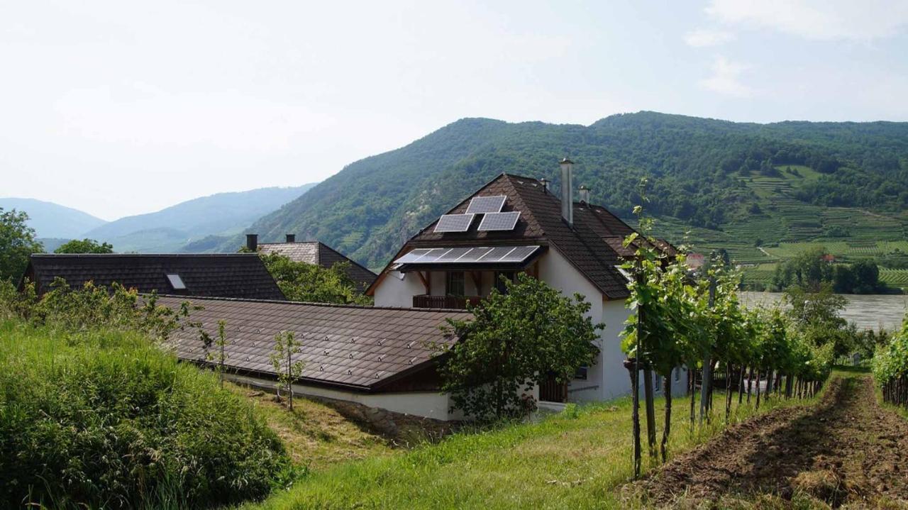 Weingut & Gaestezimmer Pammer Mitterarnsdorf エクステリア 写真