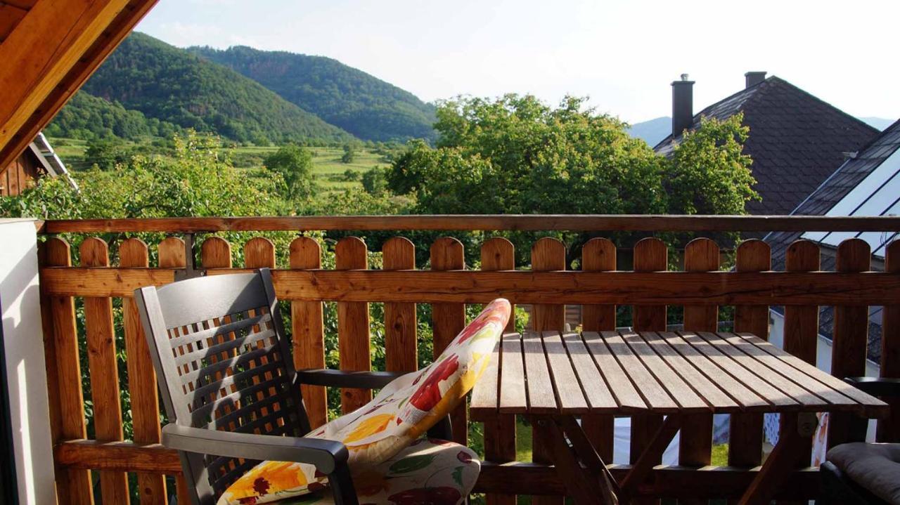Weingut & Gaestezimmer Pammer Mitterarnsdorf エクステリア 写真