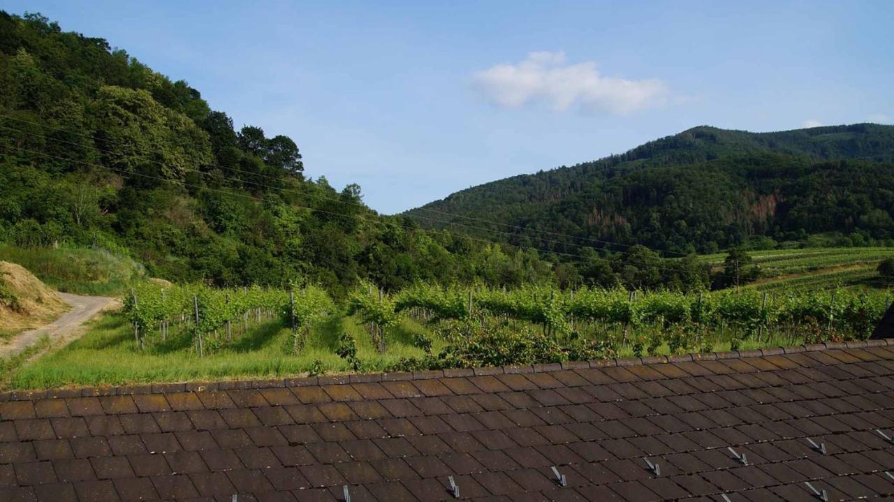 Weingut & Gaestezimmer Pammer Mitterarnsdorf エクステリア 写真
