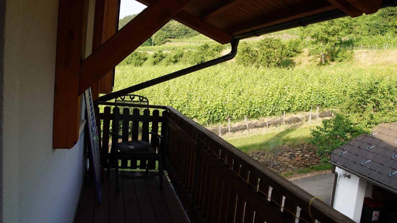 Weingut & Gaestezimmer Pammer Mitterarnsdorf エクステリア 写真
