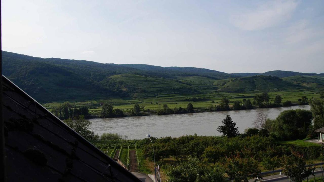 Weingut & Gaestezimmer Pammer Mitterarnsdorf エクステリア 写真